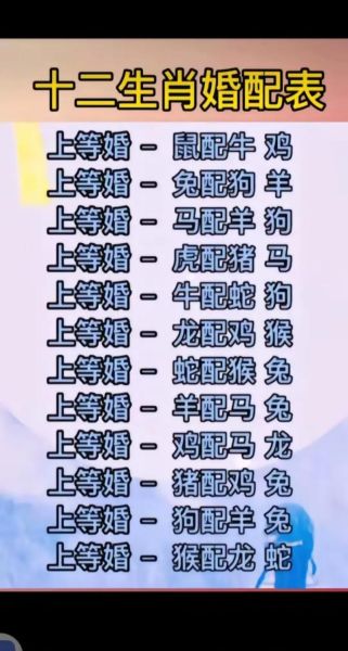 生肖对照表 属相（2024最新生肖对照表属相查询）