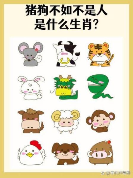 生肖属相法（生肖属相法到底怎么用？一文教会你）