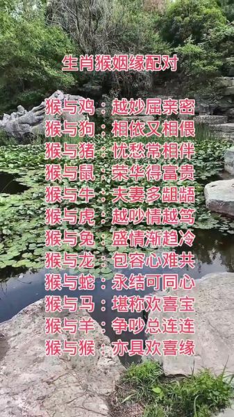 生肖猴婚配最佳属相