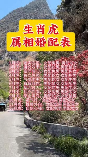 生肖虎属相配吗（生肖虎和什么属相最配）