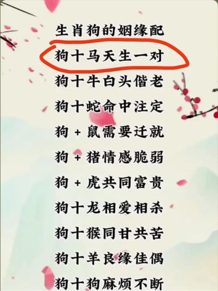 生肖狗最好的配对属相（生肖狗最佳绝配属相揭秘）