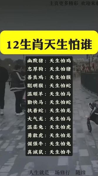 鬼怕什么生肖属相（鬼最怕的生肖属相TOP5揭晓）