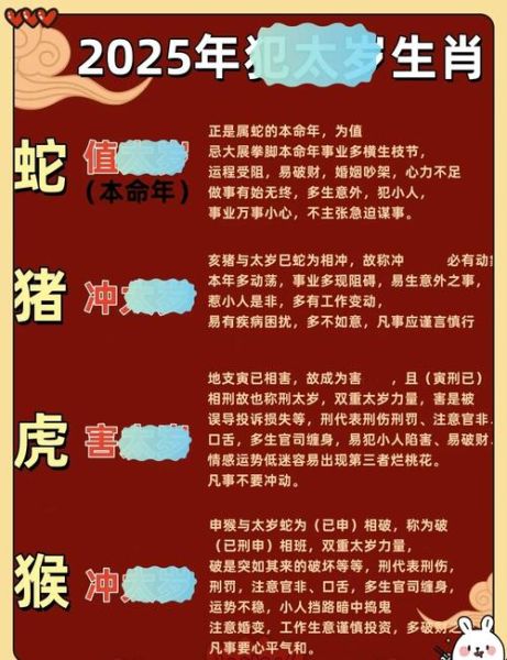 生肖属相讲解图解（图解十二生肖2025运势与性格全攻略）