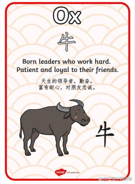 生肖卡选什么属相（生肖卡选什么属相最旺新手）