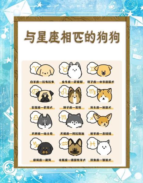 狗狗星座属相是什么生肖