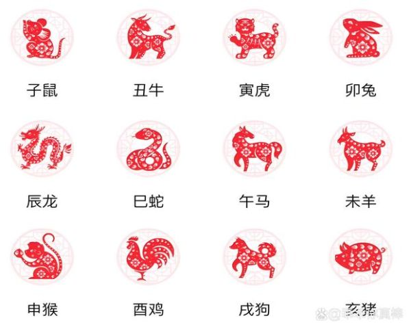 丁亥年属什么生肖属相（丁亥年属什么生肖）