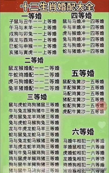 生肖情感属相（生肖情感属相配对表怎么看）