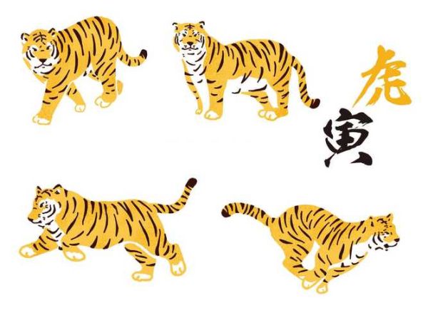 1951什么生肖属相（1951年属什么生肖）