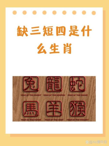 表弟的生肖是什么属相