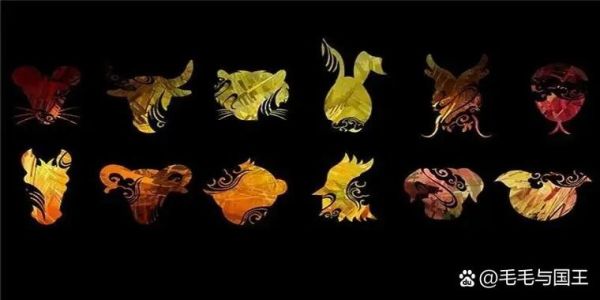 生肖属相幸运花（十二生肖专属幸运花有哪些？入门收藏版）