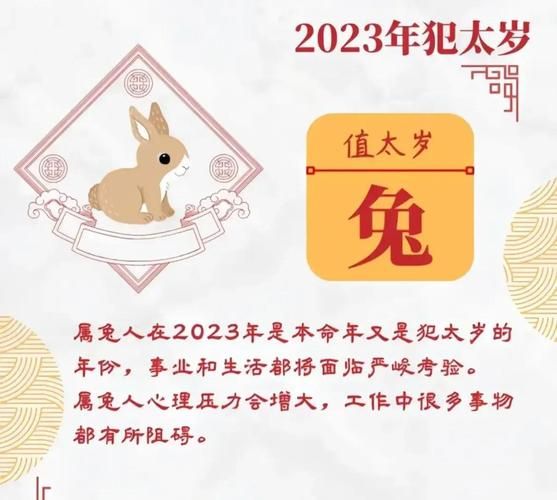 2023年属相与生肖运城（2023属兔运势全攻略）