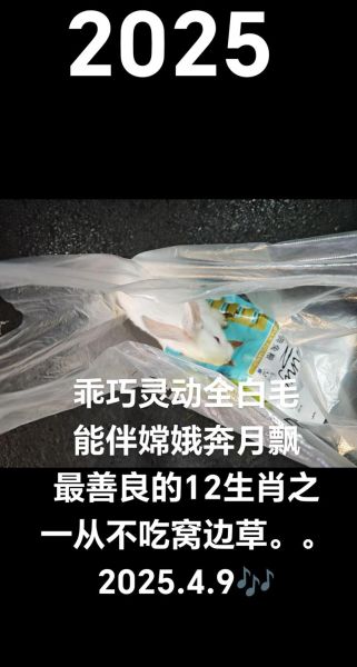 嫦娥属哪个生肖属相（嫦娥到底属什么生肖？小白3分钟看懂）