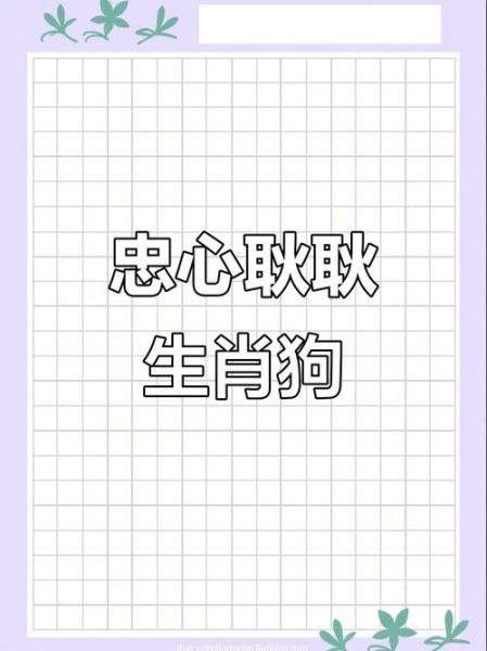 什么生肖属相的人忠心（属狗的人忠心指数有多高）