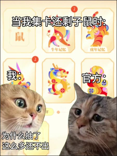 生肖卡怎么换不了属相（生肖卡换属相一直失败怎么办）