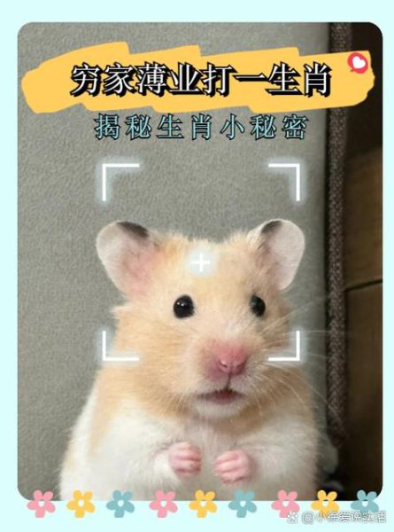 下雨属相是什么生肖（下雨生肖是哪个最旺）