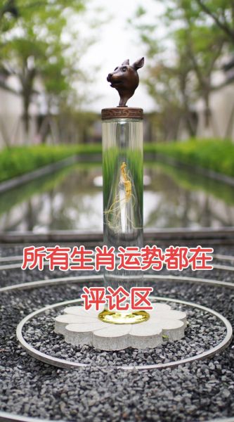 生肖属相 抖音（抖音生肖运势爆款怎么拍？小白7步入门）