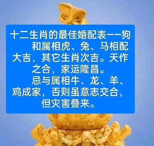 生肖属狗忌什么属相（属狗最忌什么属相婚配）