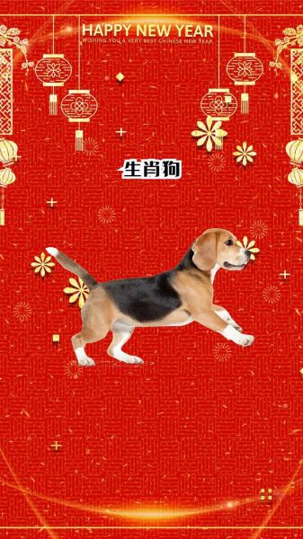 狗年属什么生肖属相