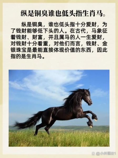 特别爱钱的生肖属相女生