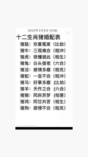 龙猪什么生肖属相（龙猪合不合？生肖速配一看就懂）