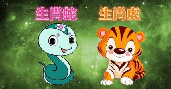 生肖属相虎和蛇（虎和蛇的属相适合做夫妻吗）