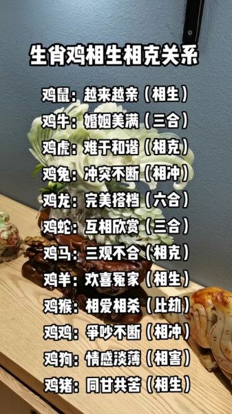 生肖属鸡和什么属相相配（属鸡和什么属相最配对婚姻）