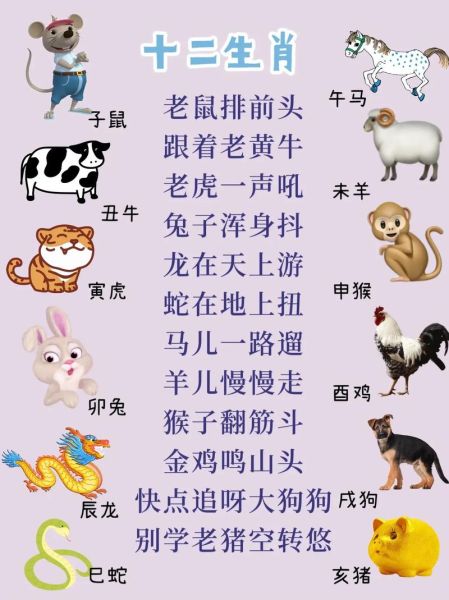 如何熟练掌握生肖属相（如何快速熟记十二生肖顺序）
