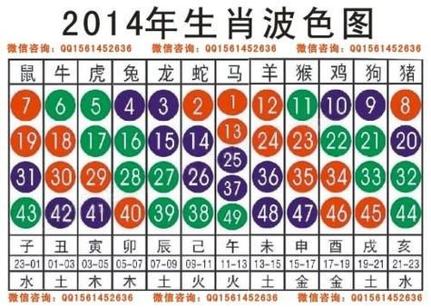 2023年什么生肖属相（2023属什么生肖答案全攻略）