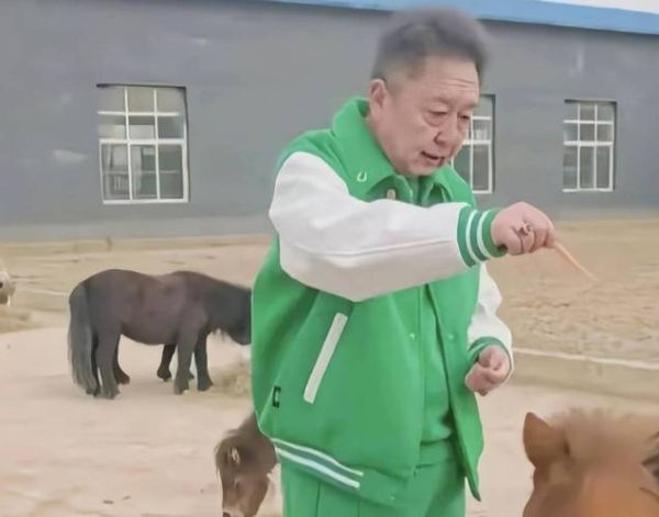 于谦生肖属相（于谦生肖属相究竟是什么？小白必看）