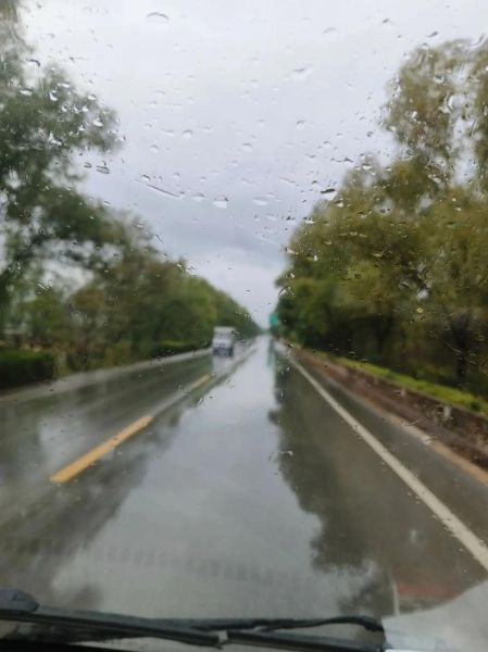 曹孟什么生肖属相（曹孟什么生肖？一文看懂真相💡）