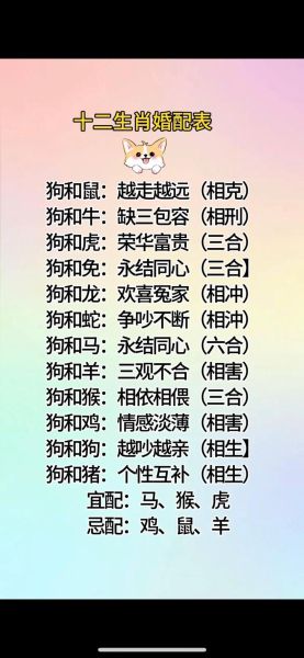 生肖文化属相婚配（生肖婚配靠谱吗？🐲+🐭真能成？）