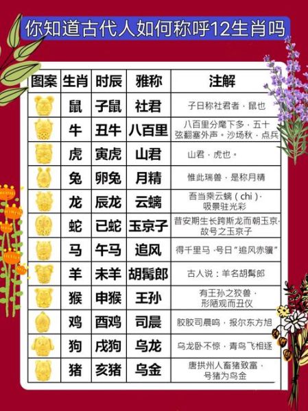 怎样看人的生肖属相（怎么看自己生肖属相最准确）