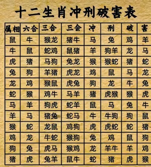 婚后生肖属相相冲（婚后属相相冲能化解吗？三招搞定🫶）