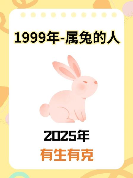 生肖兔子缺什么属相(生肖兔缺什么属相?新手避坑指南)