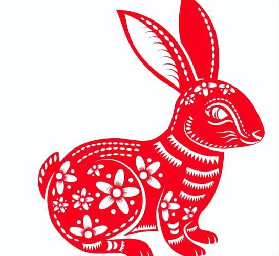 兔年属什么生肖属相