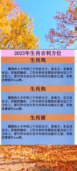 生肖代表方位是什么属相（生肖代表什么方位对照表）