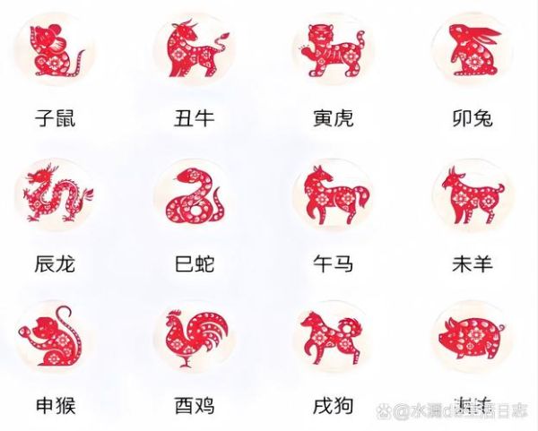 十八属什么生肖属相（十八属什么？一分钟看懂生肖猴🔥）