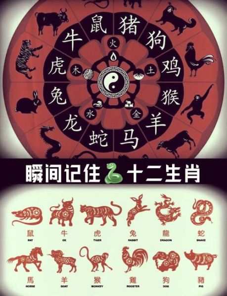 都有什么生肖属相呢图片（十二生肖属相完整图鉴）