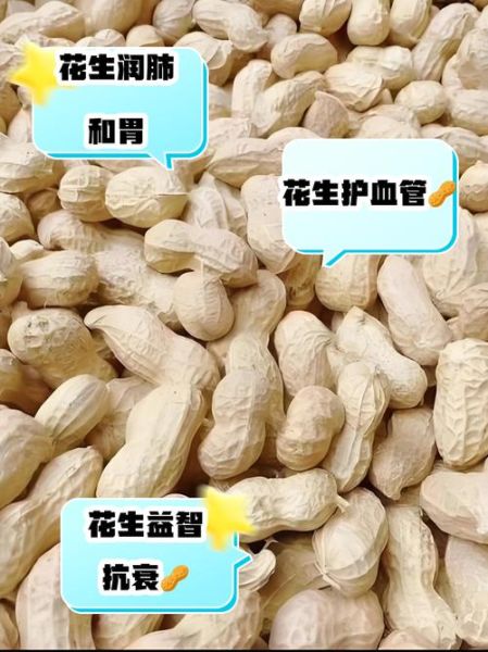 生肖中哪个属相为花生(花生到底属哪个生肖?一看就懂)