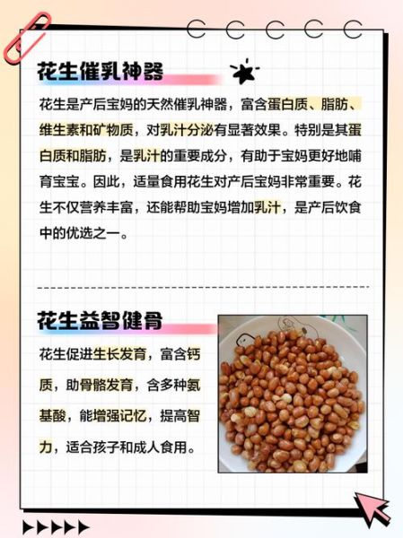 生肖中哪个属相为花生（花生到底属哪个生肖？一看就懂）