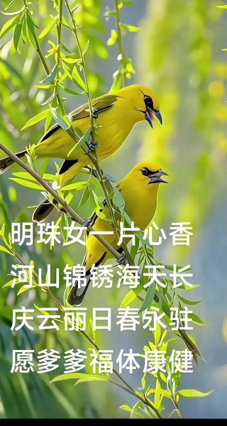 刘明珠什么生肖属相（刘明珠属什么生肖 🐉）