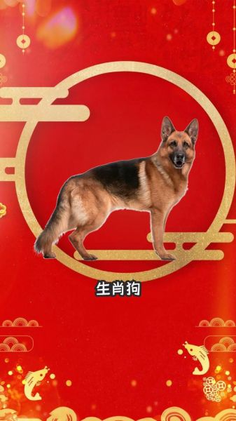 生肖狗和生肖什么属相最合