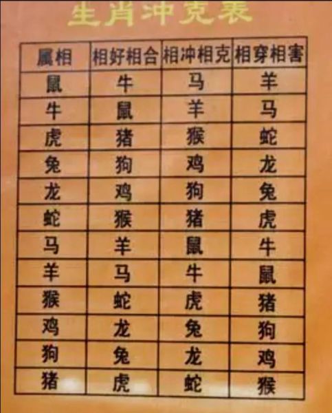 什么生肖不能配偶属相(属相婚配不合会幸福吗)