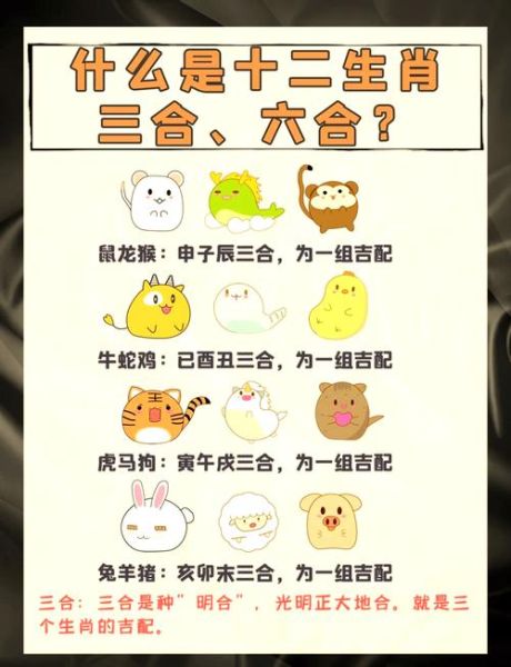 生肖属相三合六合（属相六合三合速查表口诀💡）