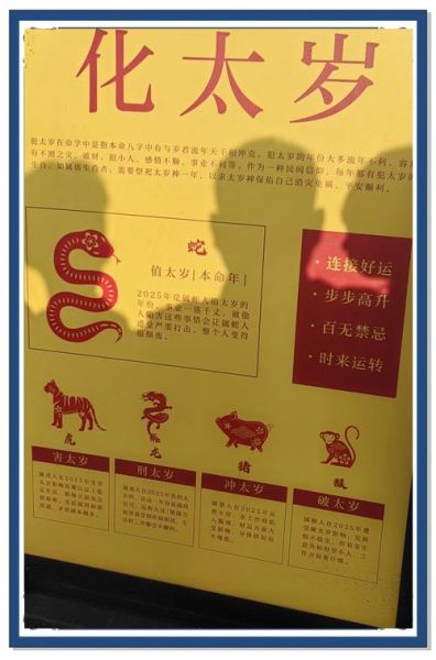 生肖属相优点和缺点（属鼠人性格优缺点详解）