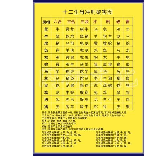 明天属相对冲什么生肖