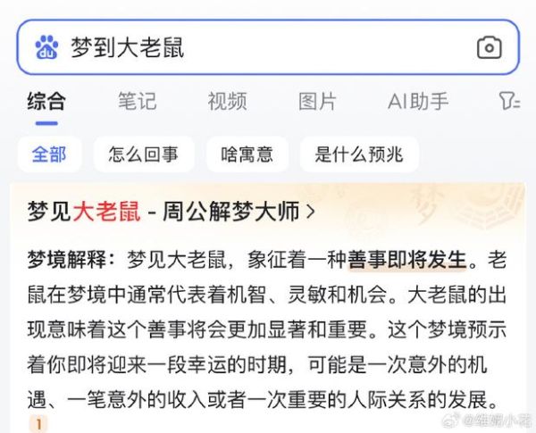 梦见生肖属相（梦见生肖属相鼠是什么意思）