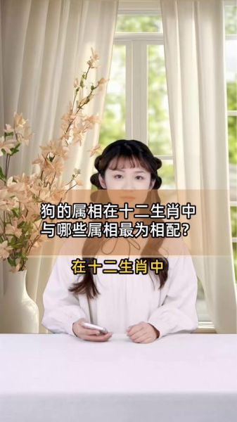 和生肖狗属相相配的生肖（生肖狗和什么属相最配？）