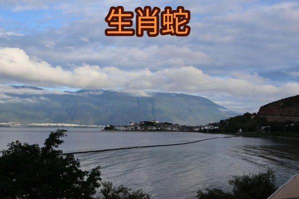 生肖属相1965年（1965年属蛇人今年多大）