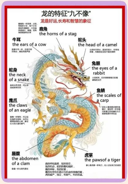 属相生肖龙的来历是什么（龙属相的来历是什么？）